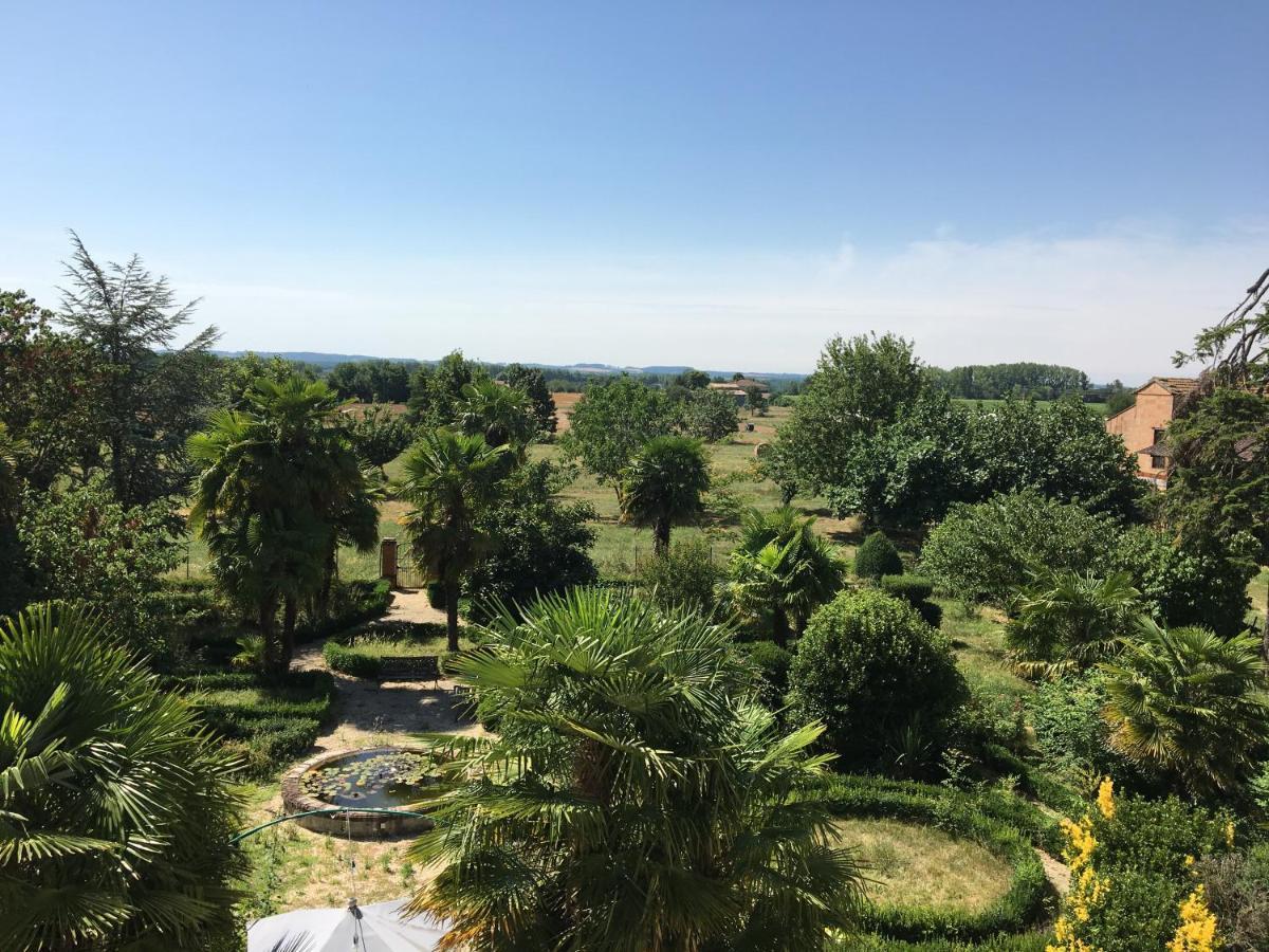 Domaine De Menerque - Petit Chateau Avec Piscine Lisle-sur-Tarn Eksteriør billede