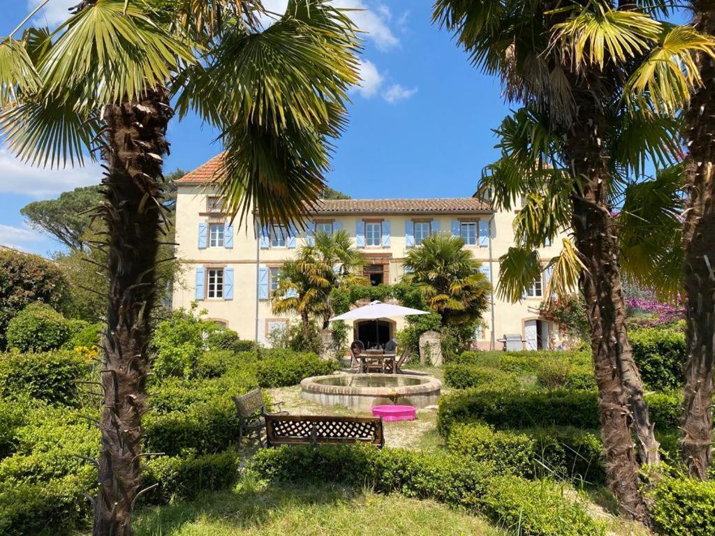 Domaine De Menerque - Petit Chateau Avec Piscine Lisle-sur-Tarn Eksteriør billede