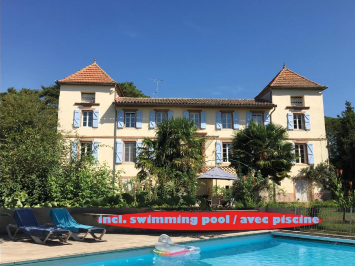 Domaine De Menerque - Petit Chateau Avec Piscine Lisle-sur-Tarn Eksteriør billede