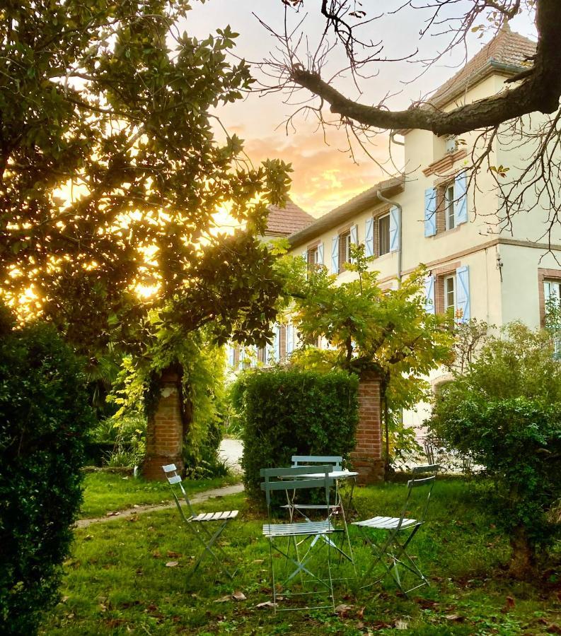 Domaine De Menerque - Petit Chateau Avec Piscine Lisle-sur-Tarn Eksteriør billede