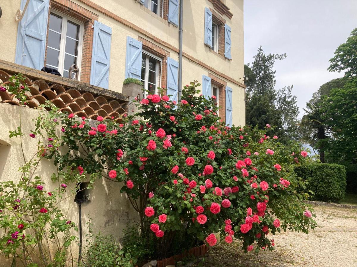 Domaine De Menerque - Petit Chateau Avec Piscine Lisle-sur-Tarn Eksteriør billede