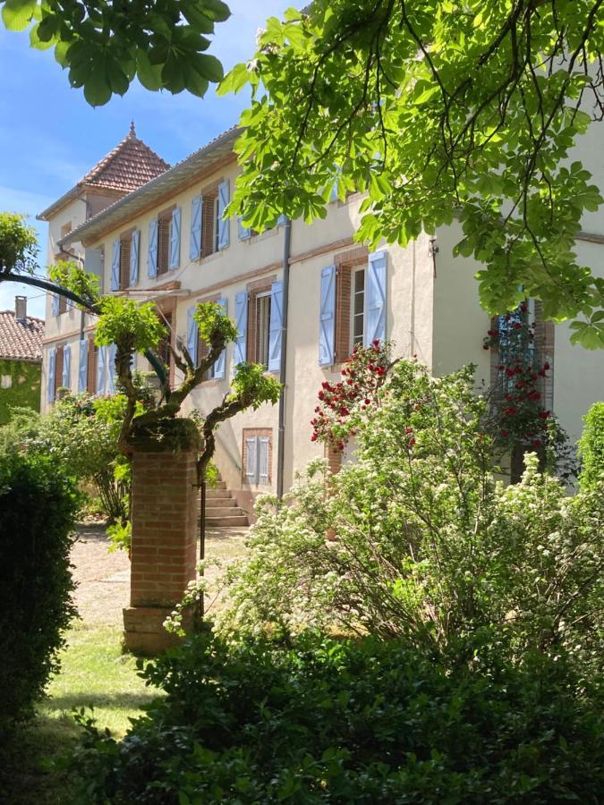 Domaine De Menerque - Petit Chateau Avec Piscine Lisle-sur-Tarn Eksteriør billede