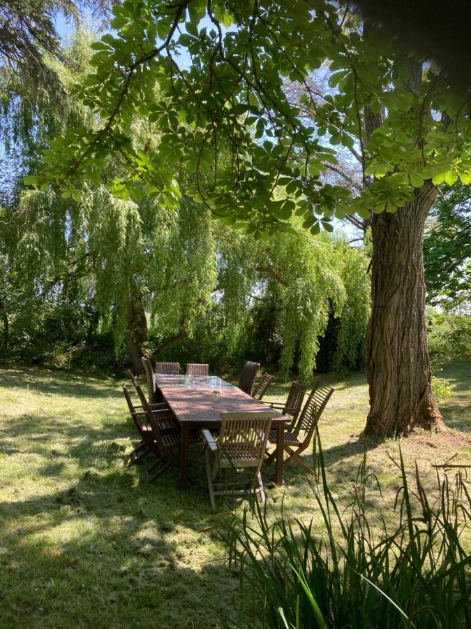 Domaine De Menerque - Petit Chateau Avec Piscine Lisle-sur-Tarn Eksteriør billede