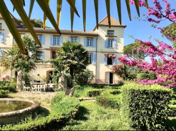 Domaine De Menerque - Petit Chateau Avec Piscine Lisle-sur-Tarn Eksteriør billede