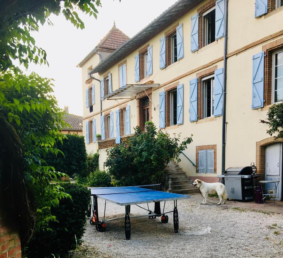 Domaine De Menerque - Petit Chateau Avec Piscine Lisle-sur-Tarn Eksteriør billede