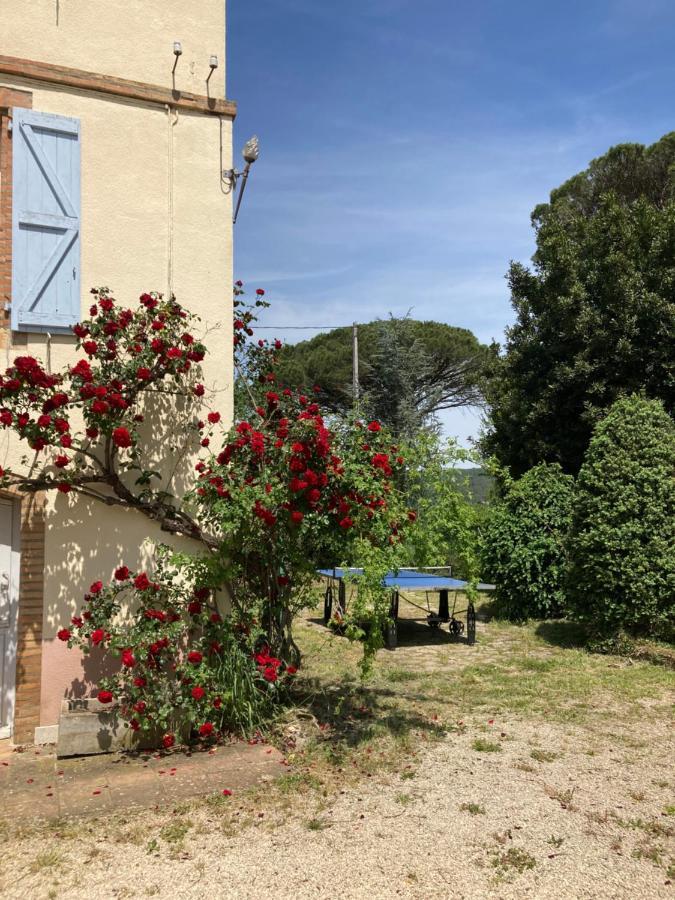 Domaine De Menerque - Petit Chateau Avec Piscine Lisle-sur-Tarn Eksteriør billede